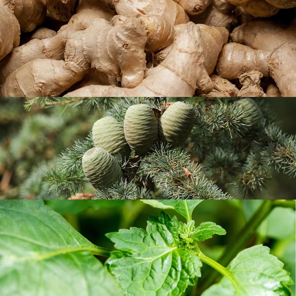 Thumbnail 3 for Calvin Klein Euphoria Perfume for Men Eau De Toilette 100ML