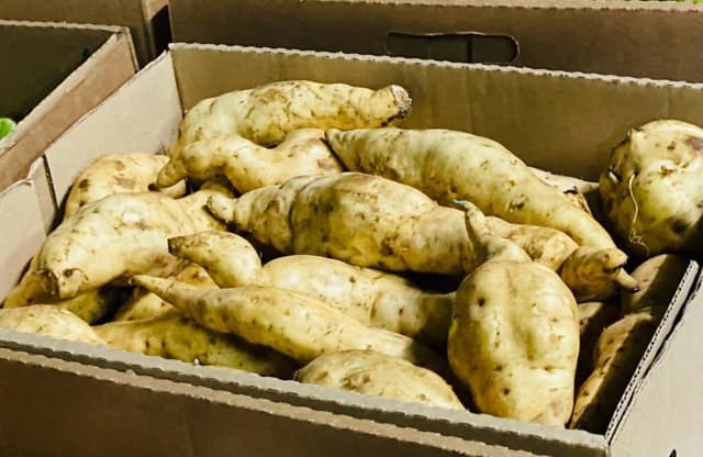 Sweet Potatoe Lumonde